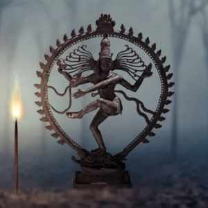 Online Kongress System